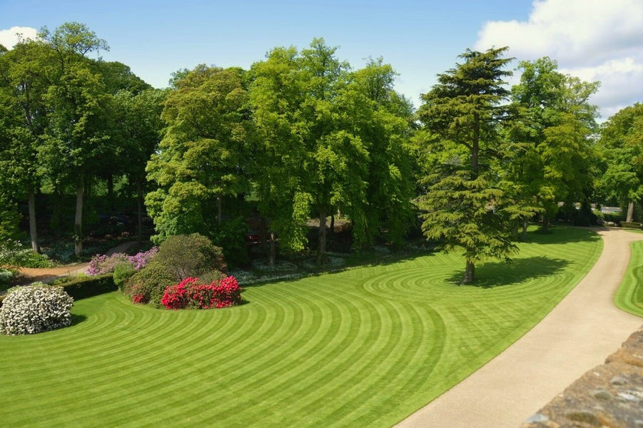 Allett 2017 International Creative Lawn Stripes Competition