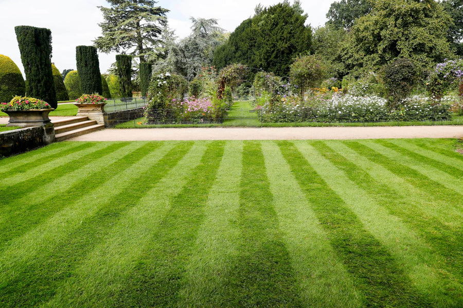 International Women's Day | Caroline Beacall - Head Gardener - Shugborough Estate