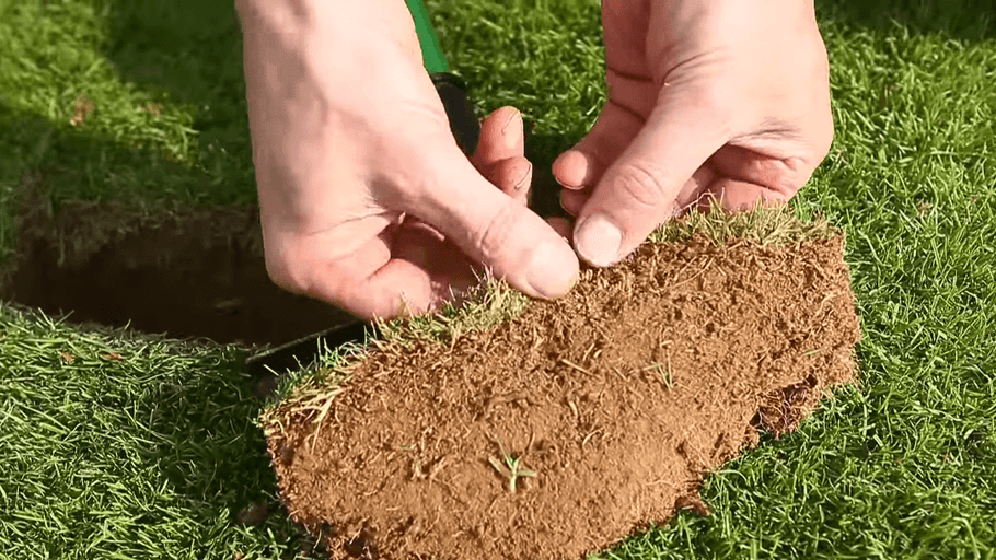 Let Your Lawn Breathe By Scarifying
