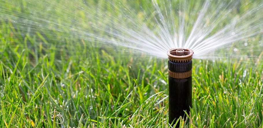 Allett’s Top Tips For Watering Your Lawn